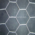 PVC Coted Hexagonal Wire Netting För Kyckling House